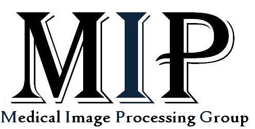 medical image processing group